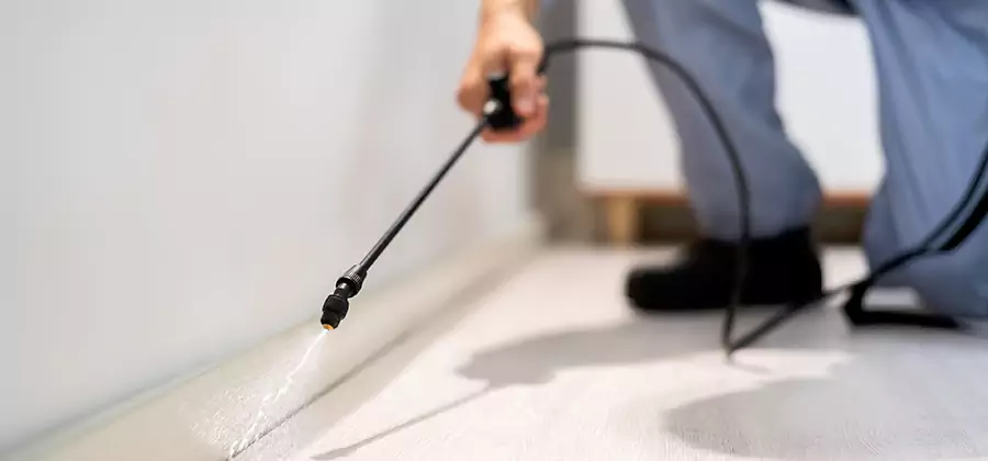 Direct Termite Injection Treatment in McMinnville