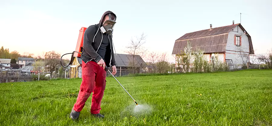 Flea and Tick Pest Control in McMinnville