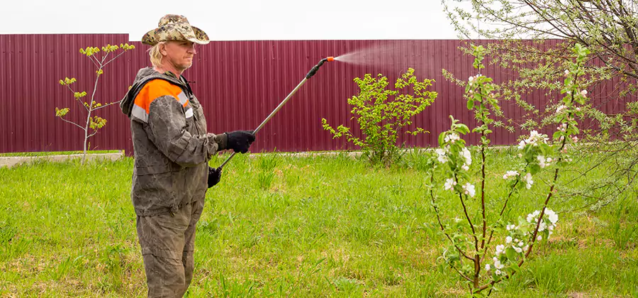 Flea and Tick Spray for Yard in McMinnville