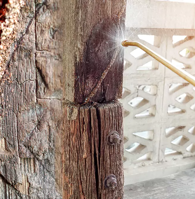 Why Choose McMinnville Pest Control Pro for Attic Termite Treatment in McMinnville, OR?
