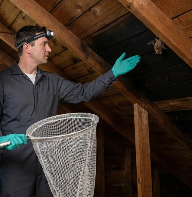 Why McMinnville Pest Control Pro Is the Right Choice in McMinnville, OR?