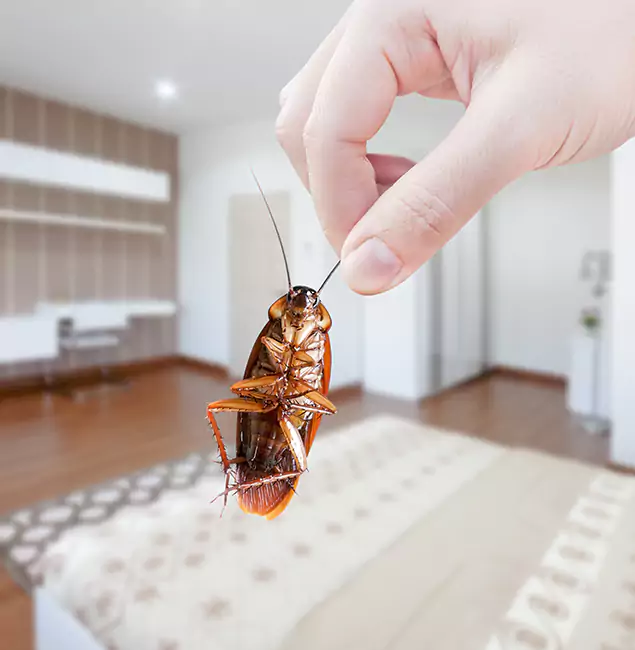 Why McMinnville Pest Control Pro Stand Out for Bed Bug Fumigation in McMinnville, OR?