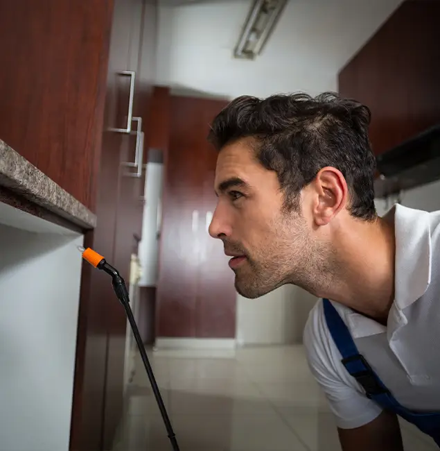 Why Choose McMinnville Pest Control Pro for Bed Bug Removal Cost in McMinnville, OR?