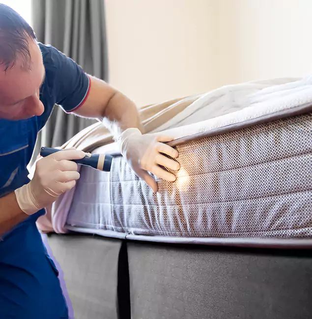 Why Choose McMinnville Pest Control Pro for Bed Bug Services in McMinnville, OR?