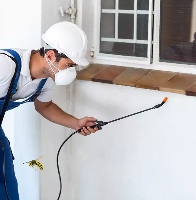 Why McMinnville Property Owners Choose McMinnville Pest Control Pro for Bee Nest Removal?