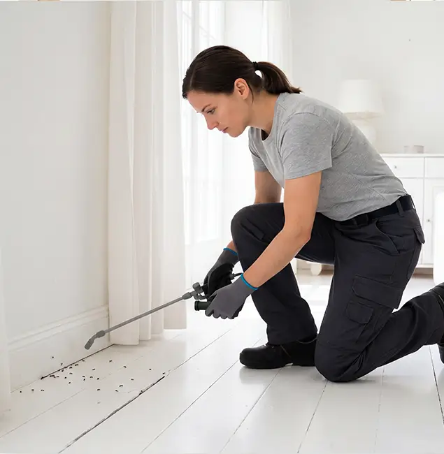Why McMinnville, OR Property Owners Trust McMinnville Pest Control Pro for Fire Ant Control?