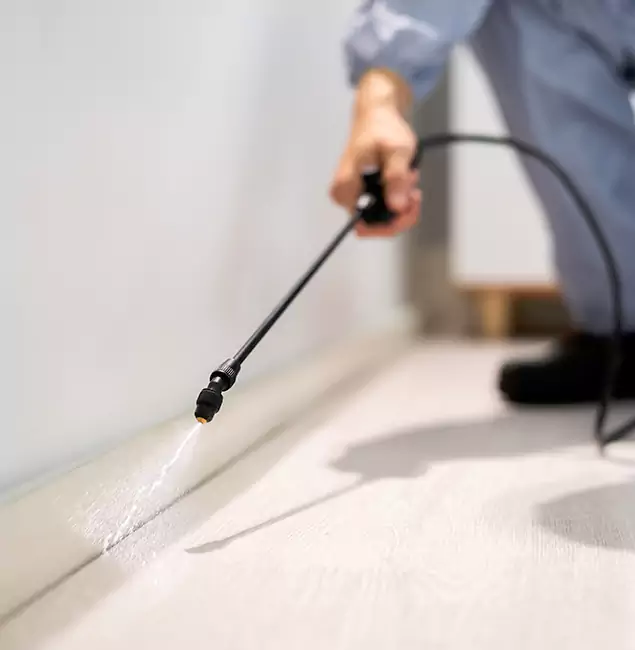 Why Choose McMinnville Pest Control Pro for Termite Treatment in McMinnville, OR?