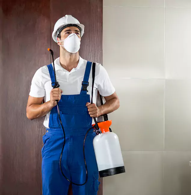 Why Choose Us for Heat Treatment for Termites in McMinnville, OR?