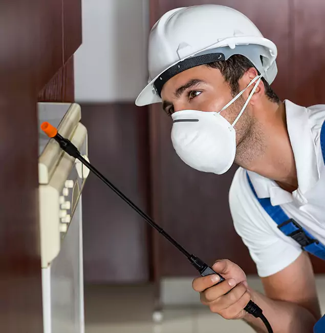 Why McMinnville Homeowners Rely on McMinnville Pest Control Pro for Tick Treatment?