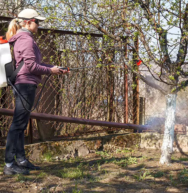 Why McMinnville Homeowners Choose McMinnville Pest Control Pro for Mosquito Abatement?