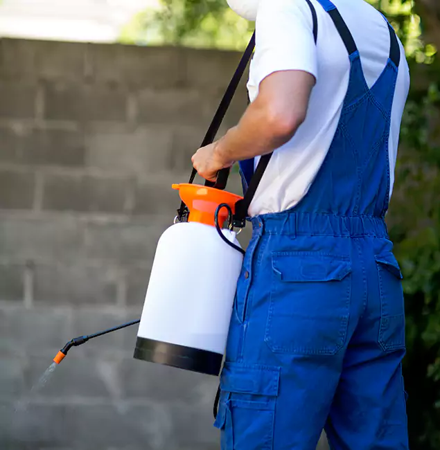 Why McMinnville Homeowners Rely on McMinnville Pest Control Pro for Mosquito Control?