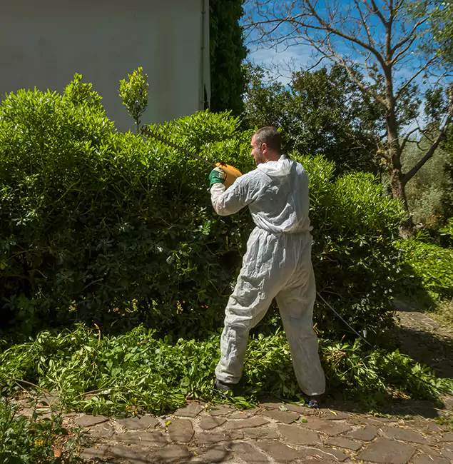 Why McMinnville Pest Control Pro Leads Mosquito Control in McMinnville, OR?