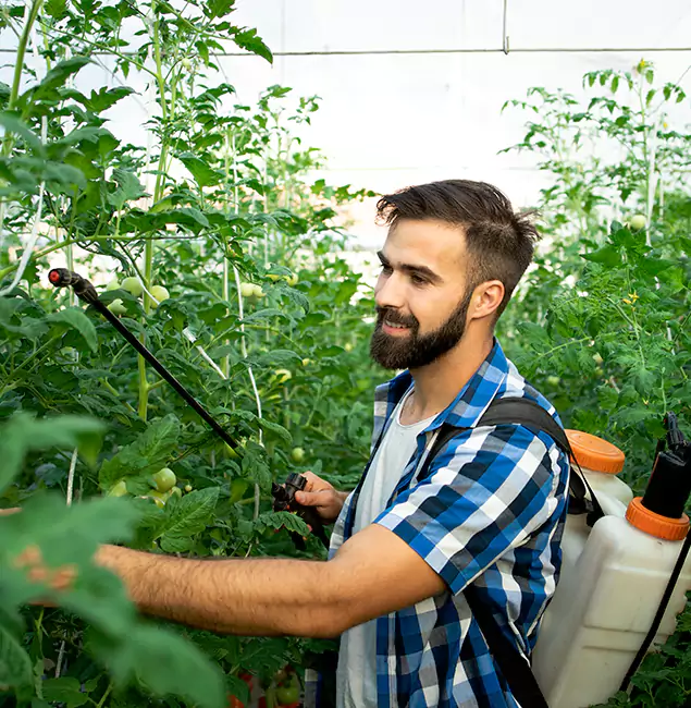 Why McMinnville Homeowners Choose McMinnville Pest Control Pro for Mosquito Spraying?