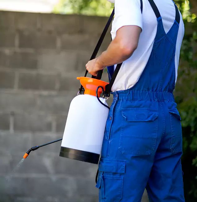 Why McMinnville Pest Control Pro Delivers the Best Mosquito Control in McMinnville, OR?