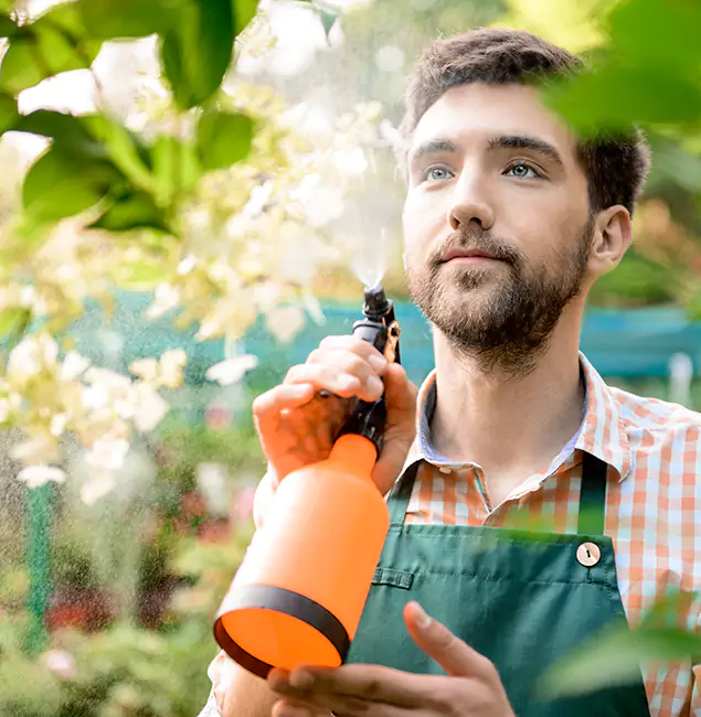 Why McMinnville Homeowners Call McMinnville Pest Control Pro for Mosquitoes in House?