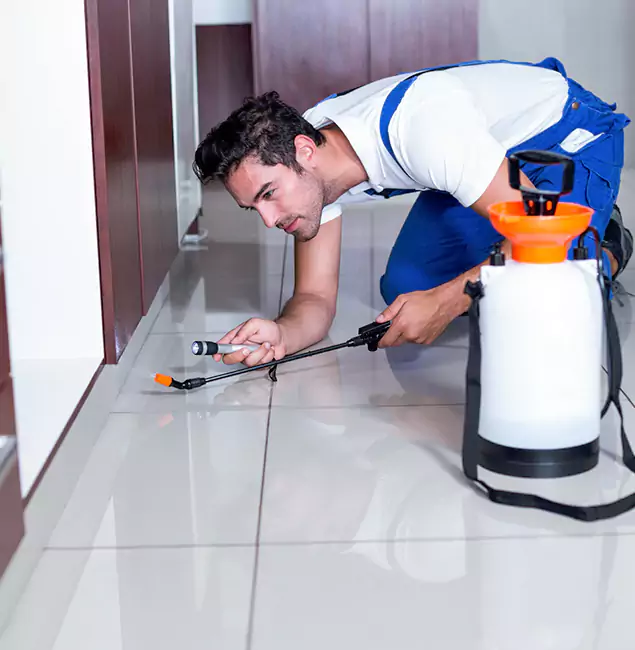 Why McMinnville Pest Control Pro Is the Proven Choice in McMinnville, OR?