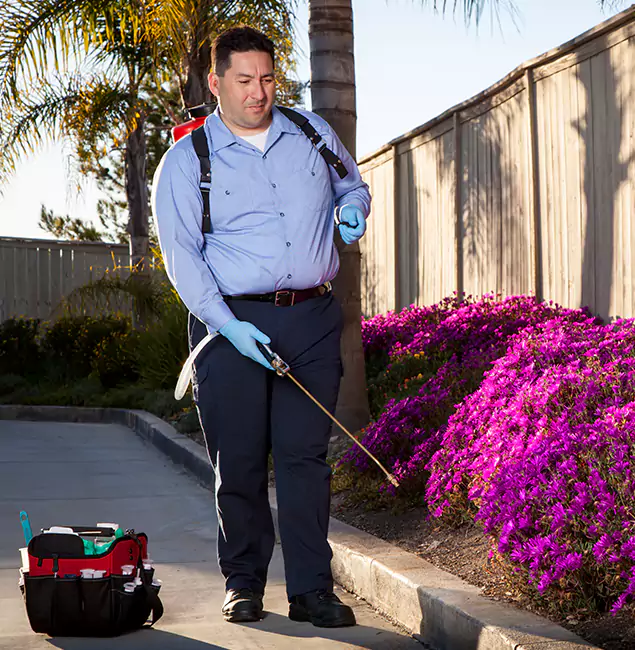 Why Choose McMinnville Pest Control Pro in McMinnville, OR?