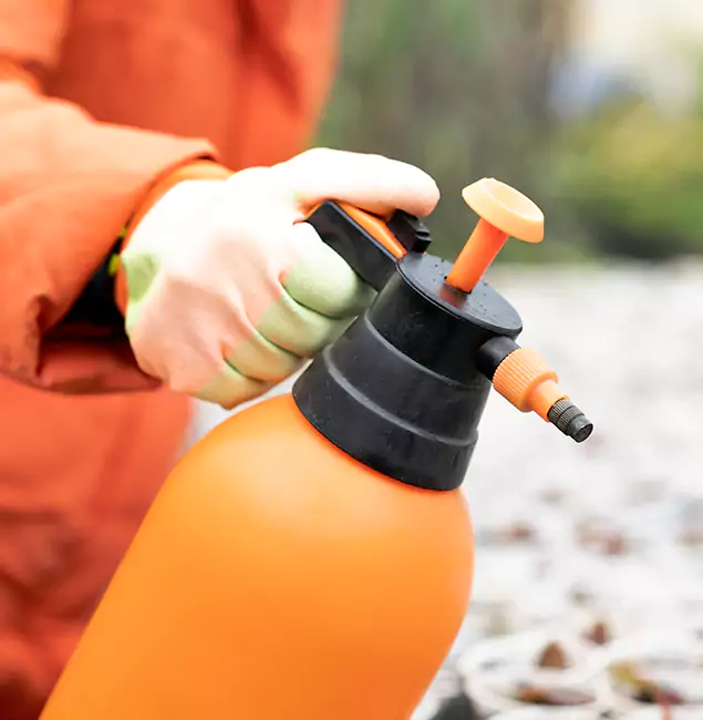 Why Choose McMinnville Pest Control Pro for Orange Termite Treatment in McMinnville, OR?