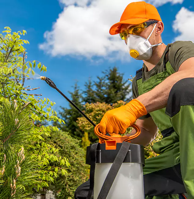 Why Choose McMinnville Pest Control Pro for Outdoor Pest Control in McMinnville, OR?