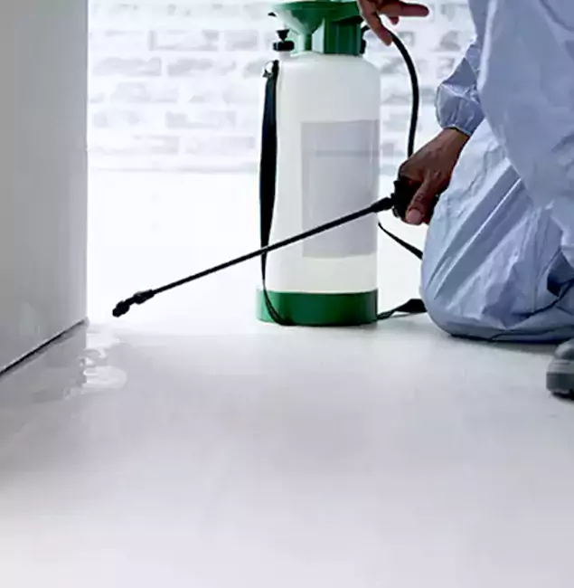 Why Choose McMinnville Pest Control Pro for Rat Exterminator in McMinnville, OR?