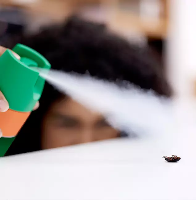 Why McMinnville, OR Homeowners Choose McMinnville Pest Control Pro for Roach Pest Control?