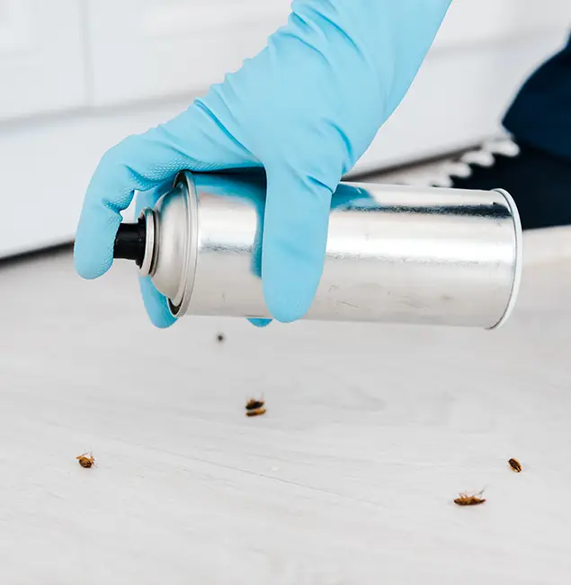 Why Choose McMinnville Pest Control Pro for Safe Bed Bug Treatment in McMinnville, OR?