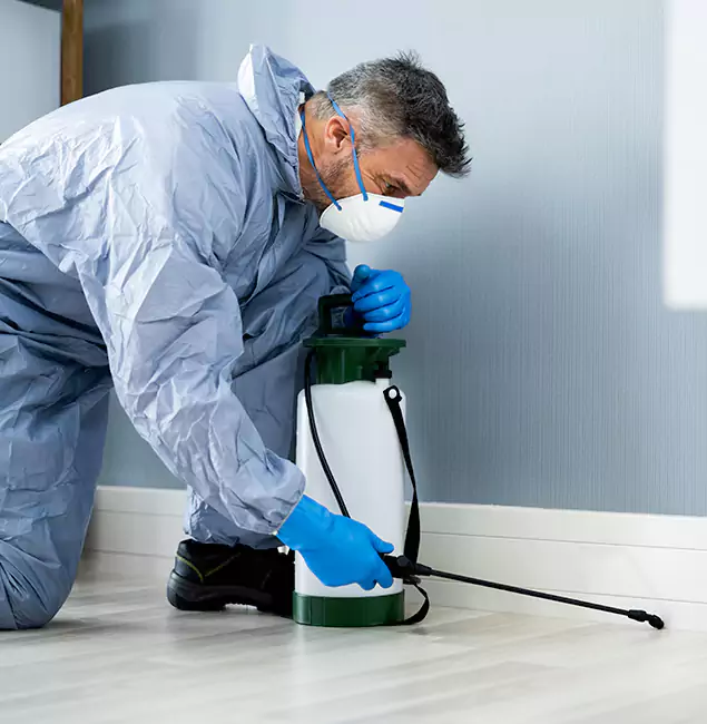 Why Choose McMinnville Pest Control Pro for Subterranean Termites Treatment in McMinnville, OR?