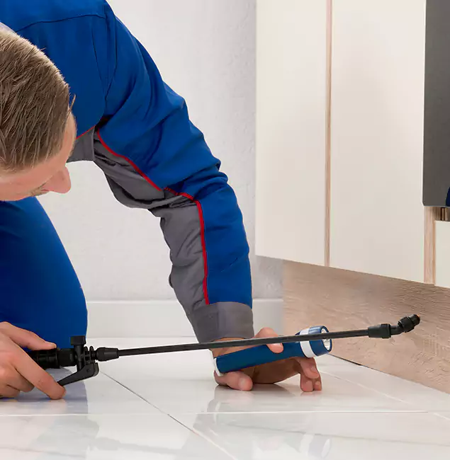 Why McMinnville Residents Choose McMinnville Pest Control Pro to Get Rid of Sugar Ants?
