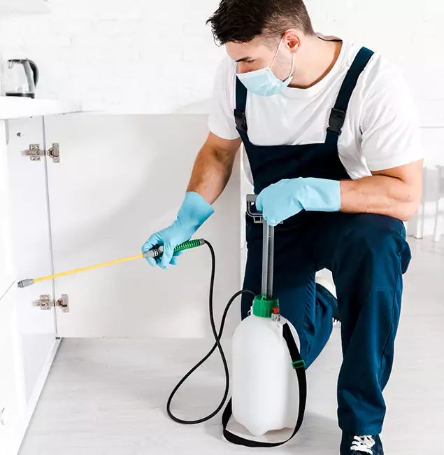 Why Choose McMinnville Pest Control Pro for Termite Spot Treatment in McMinnville, OR?