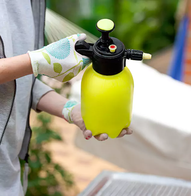 Why Choose Us: McMinnville Pest Control Pro Termite Spraying Experts in McMinnville, OR?