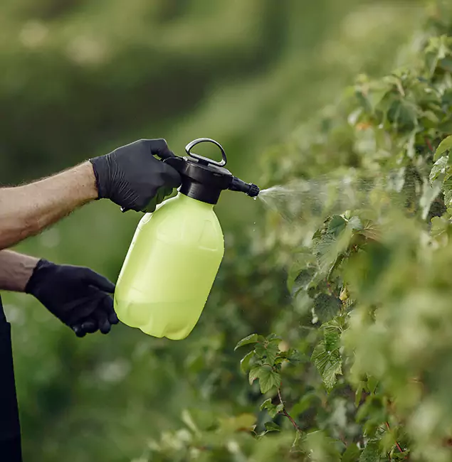Why McMinnville Homeowners Choose McMinnville Pest Control Pro for Yard Tick Treatment?