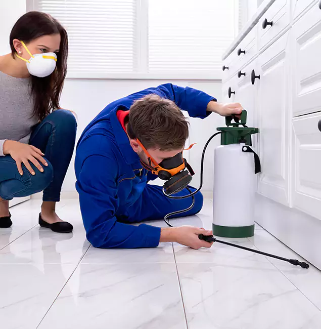 Why Choose Wood Termite Treatment by McMinnville Pest Control Pro in McMinnville, OR?