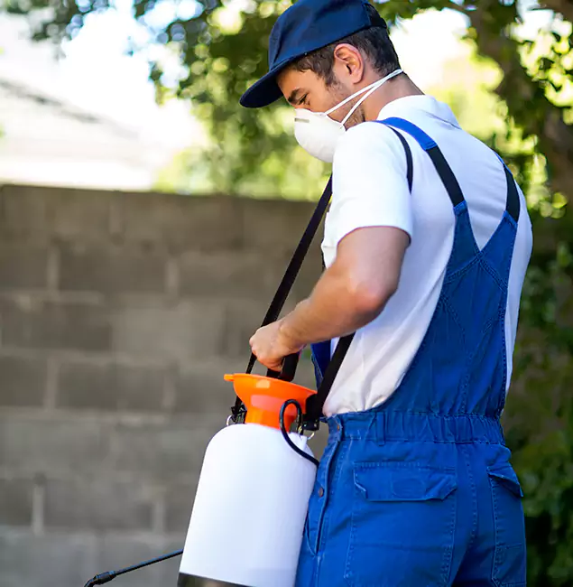 Why McMinnville Pest Control Pro Is the Right Choice for Yellow Jacket Removal in McMinnville, OR?