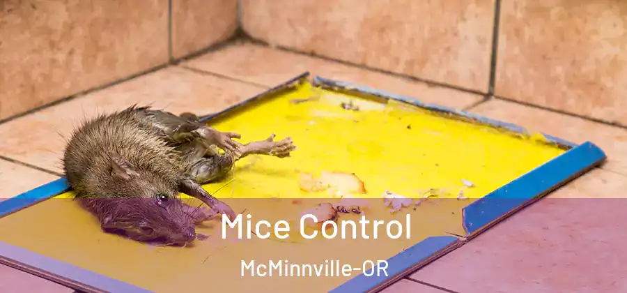 Mice Control McMinnville-OR