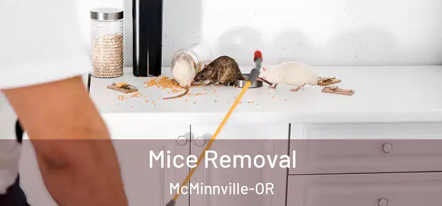 Mice Removal McMinnville-OR