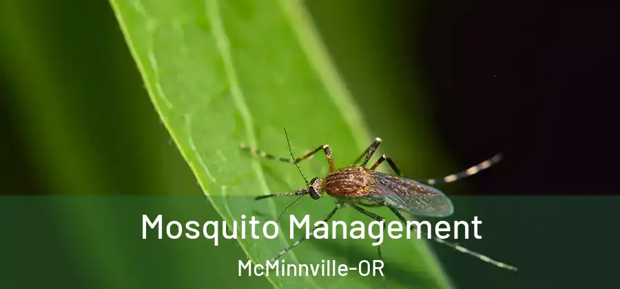 Mosquito Management McMinnville-OR