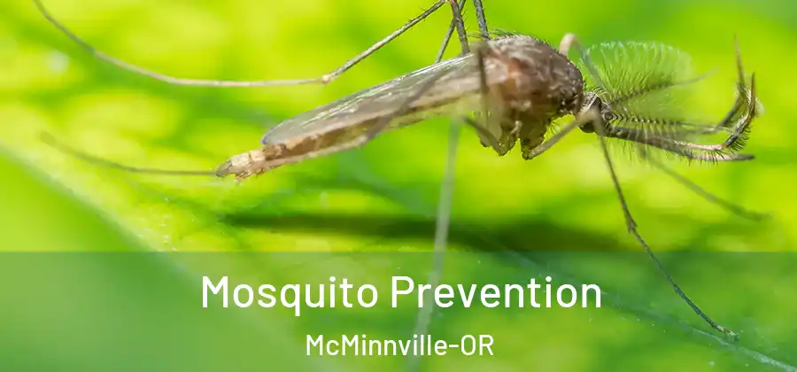 Mosquito Prevention McMinnville-OR