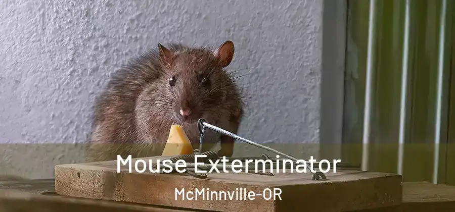 Mouse Exterminator McMinnville-OR