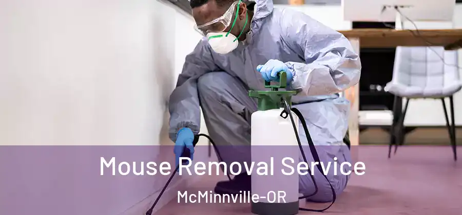 Mouse Removal Service McMinnville-OR