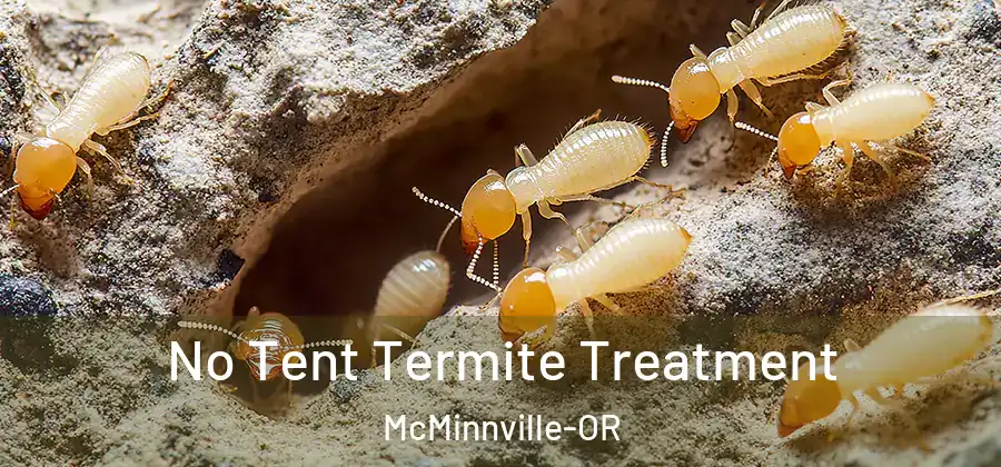 No Tent Termite Treatment McMinnville-OR