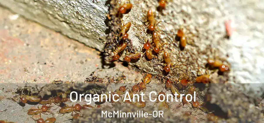 Organic Ant Control McMinnville-OR