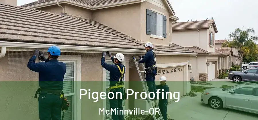  Pigeon Proofing McMinnville-OR