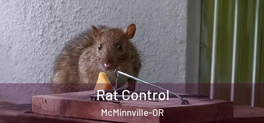  Rat Control McMinnville-OR