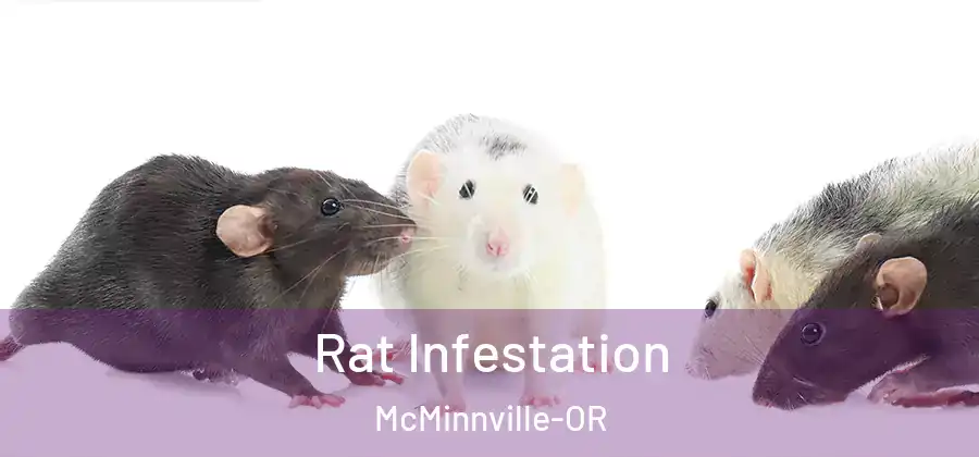 Rat Infestation McMinnville-OR