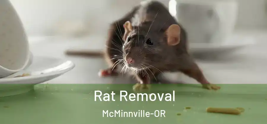 Rat Removal McMinnville-OR