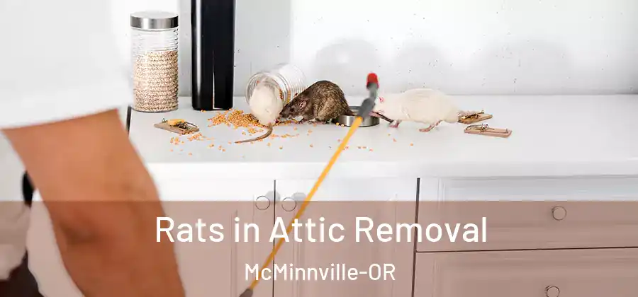 Rats in Attic Removal McMinnville-OR