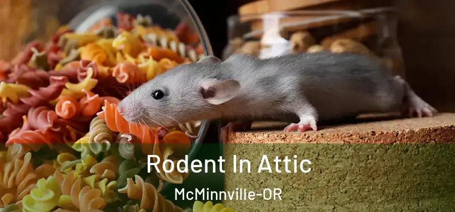 Rodent In Attic McMinnville-OR