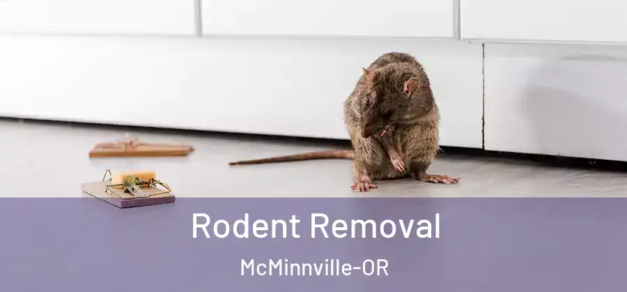 Rodent Removal McMinnville-OR