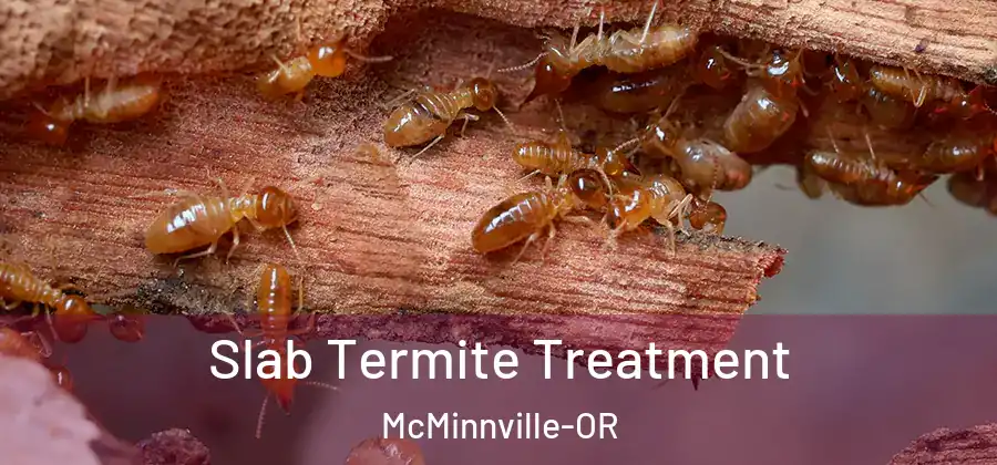 Slab Termite Treatment McMinnville-OR