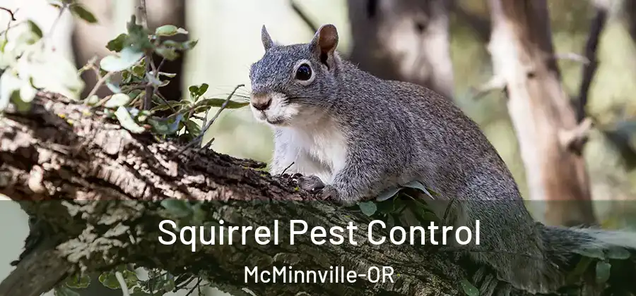 Squirrel Pest Control McMinnville-OR